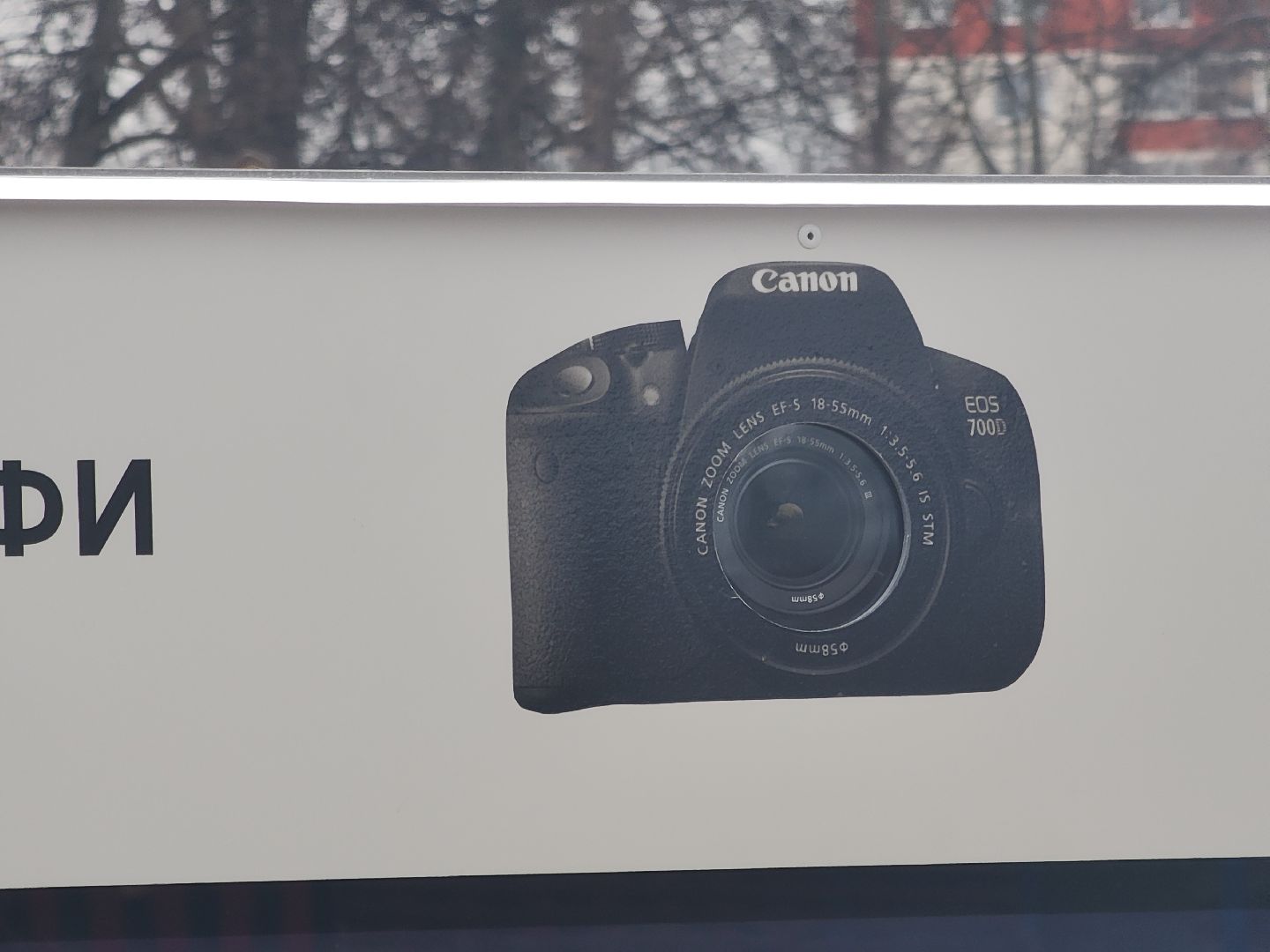 вертикалки, фото, парк, благоустройство,