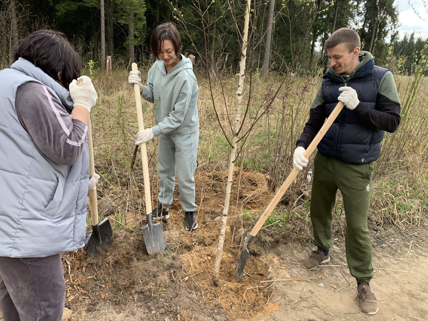 Балашиха, Подмосковье, субботники, Ольгинский лесопарк