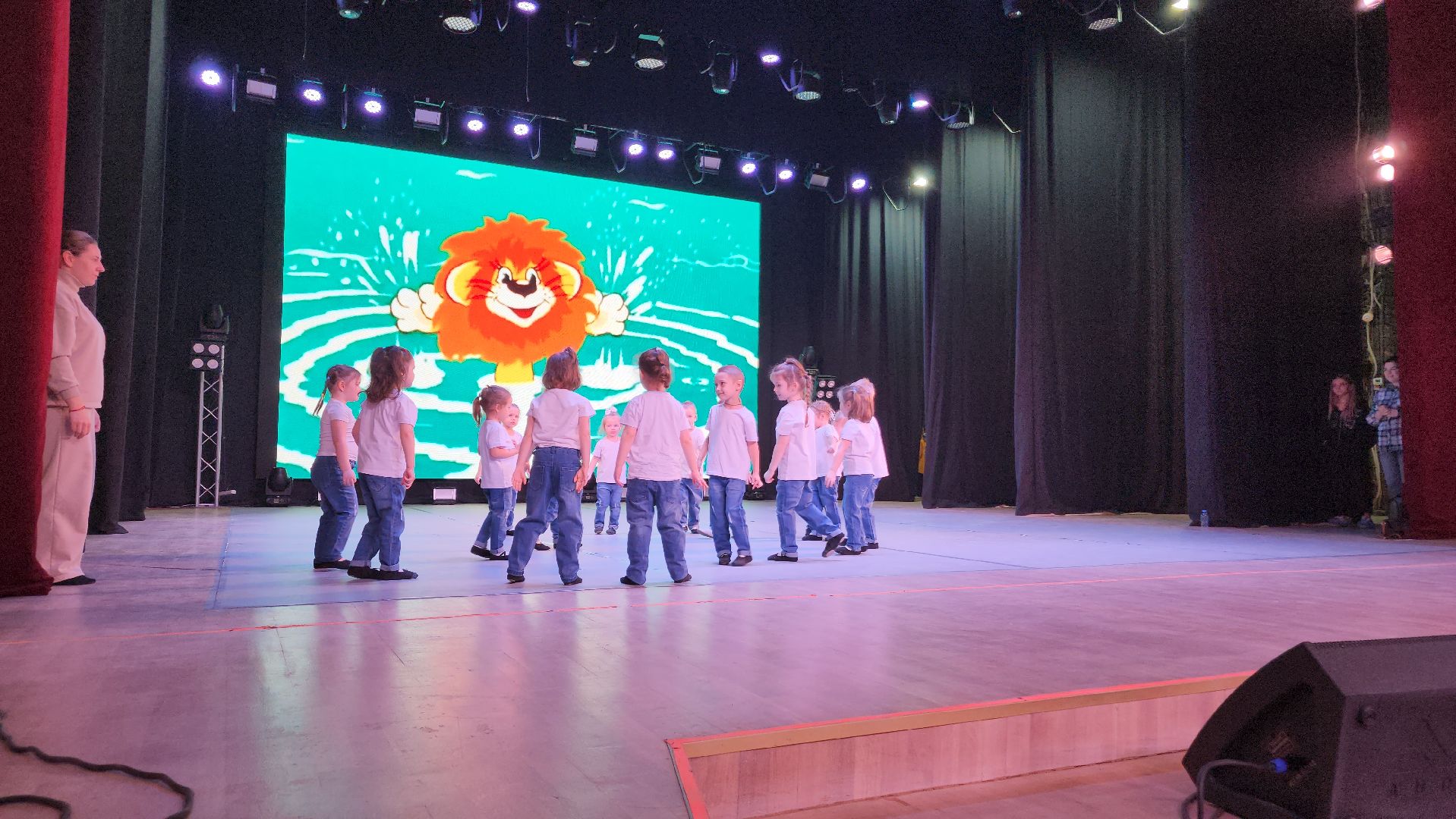 ступино, концерт в поддержку сво, культура,