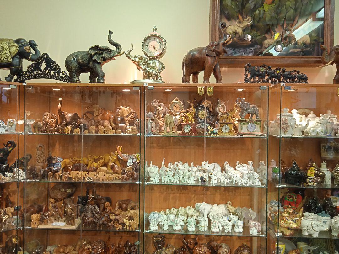 Жуковский, общество