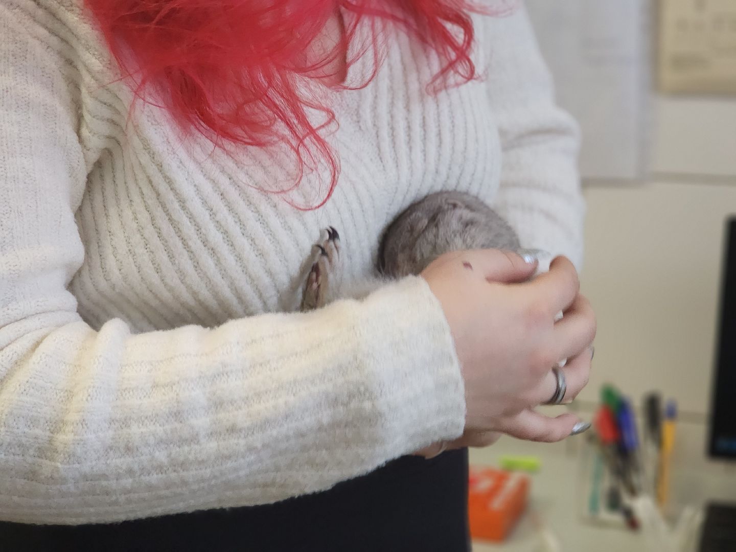 пущино, наука, серпухов, ученые, день науки,