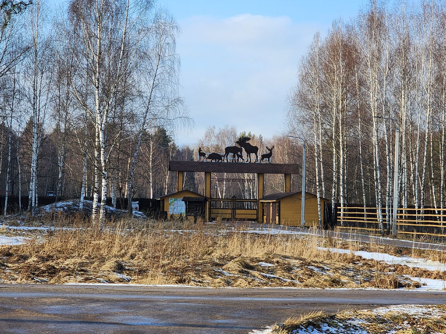 вертикалки, мытищи, лосиный остров, животные, сохатые,