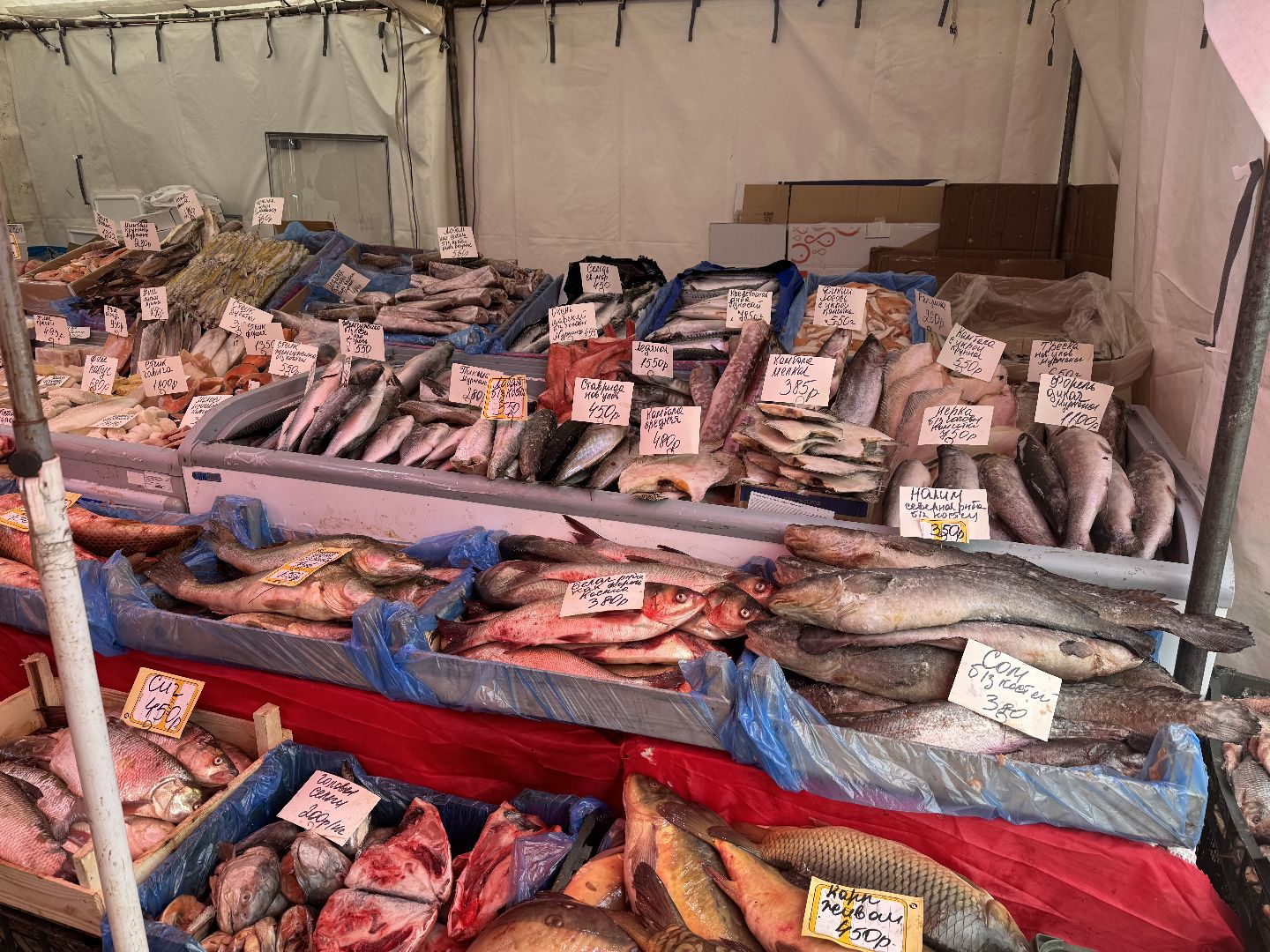 Ярмарка, товары регионов россии, ленинский городской округ,