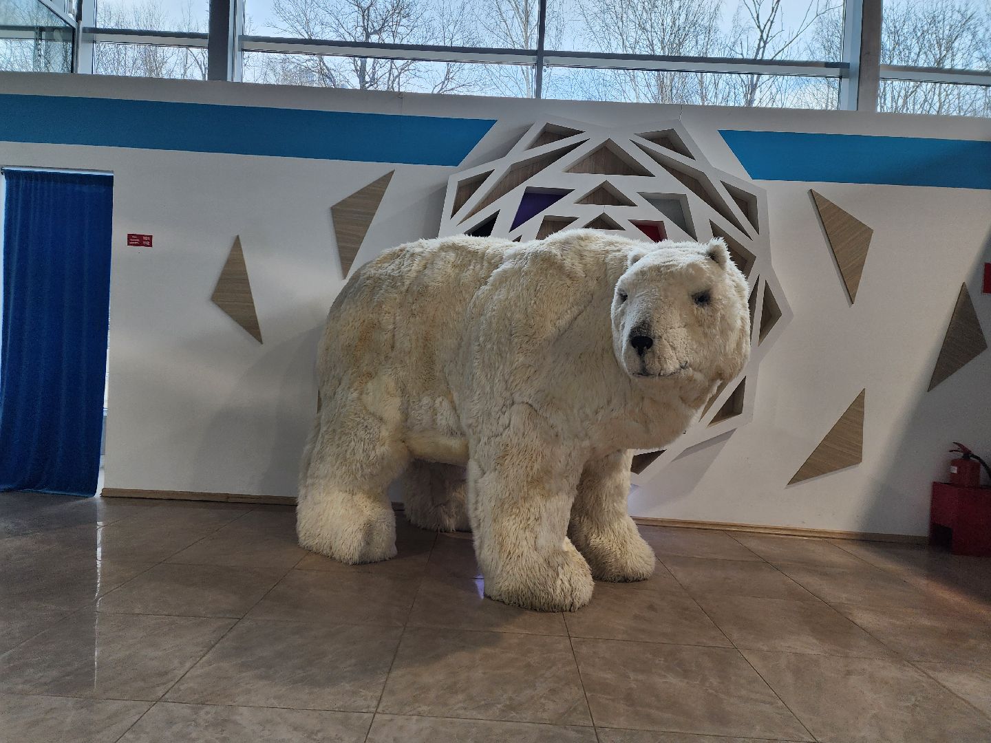 химки, культура, живопись,