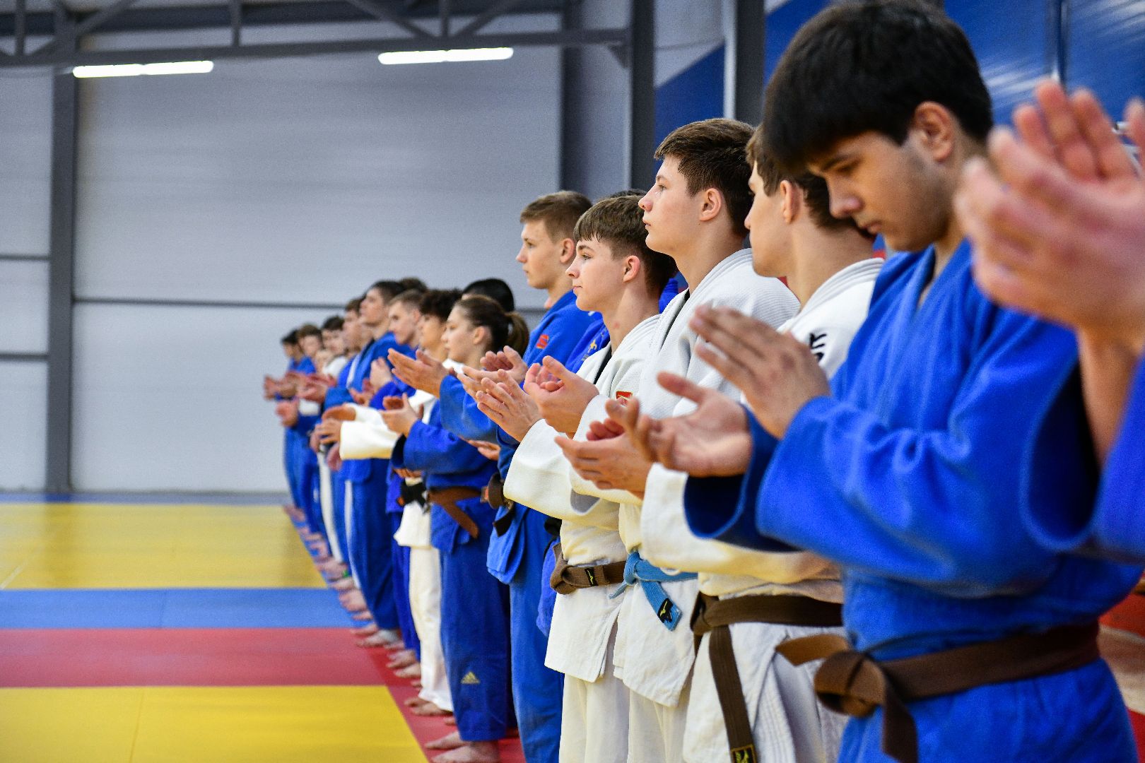 спорт, единоборства, зал, вертикалки,