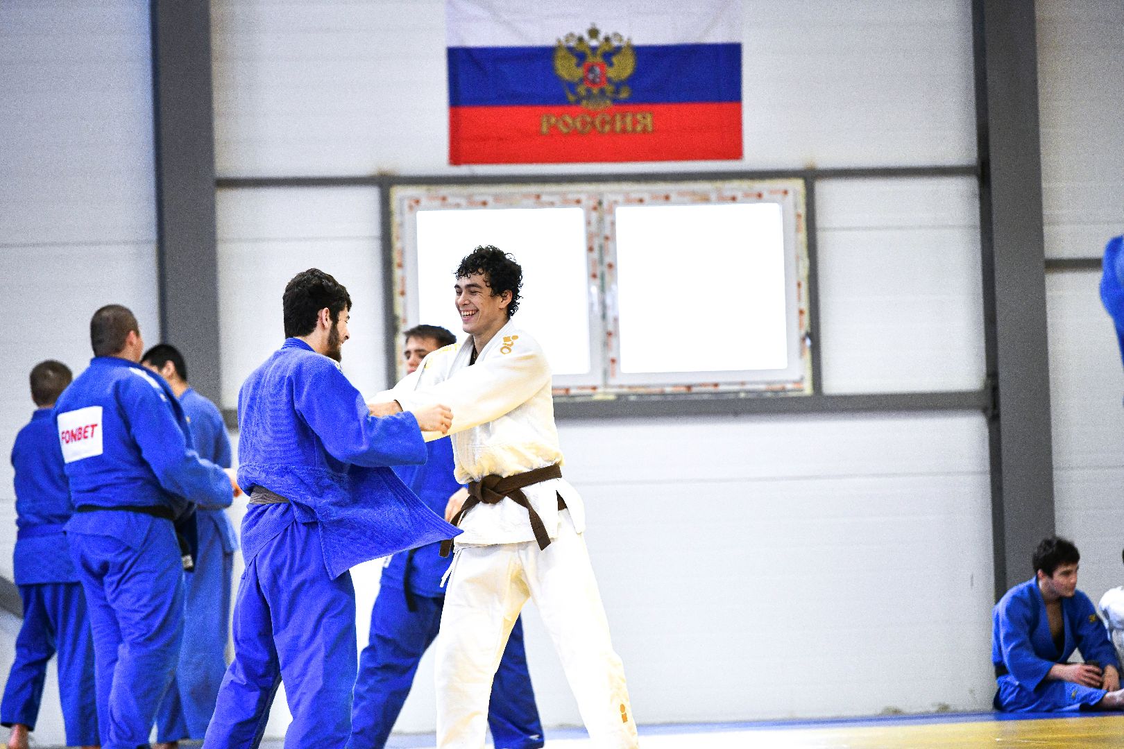 спорт, единоборства, зал, вертикалки,