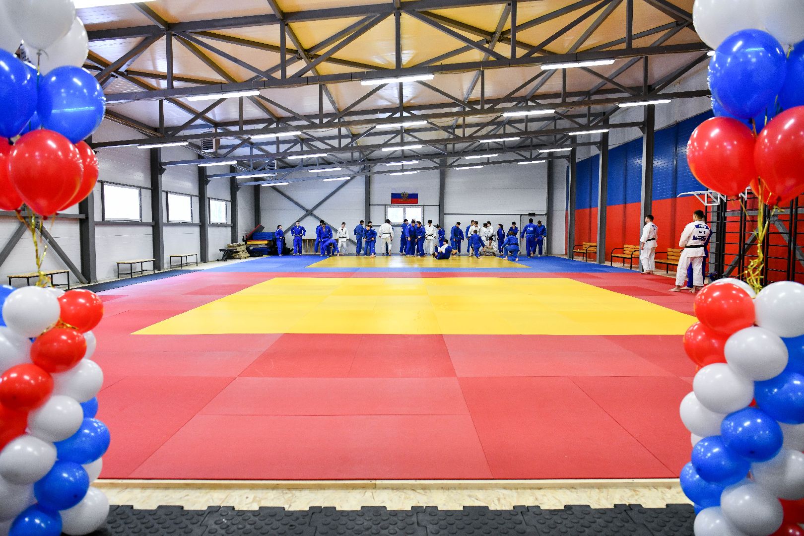 спорт, единоборства, зал, вертикалки,