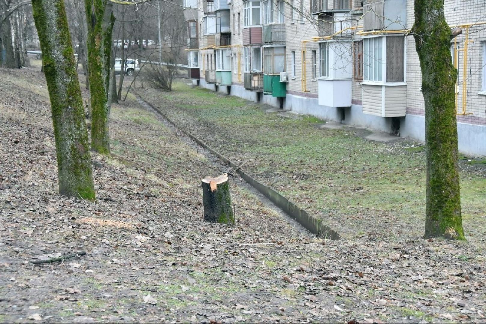 выход на тонкий лед, Власиха Верхнее озеро, Власиха цветной бульвар, набережная верхнее озеро, обход территории, добродел,вертикалка,