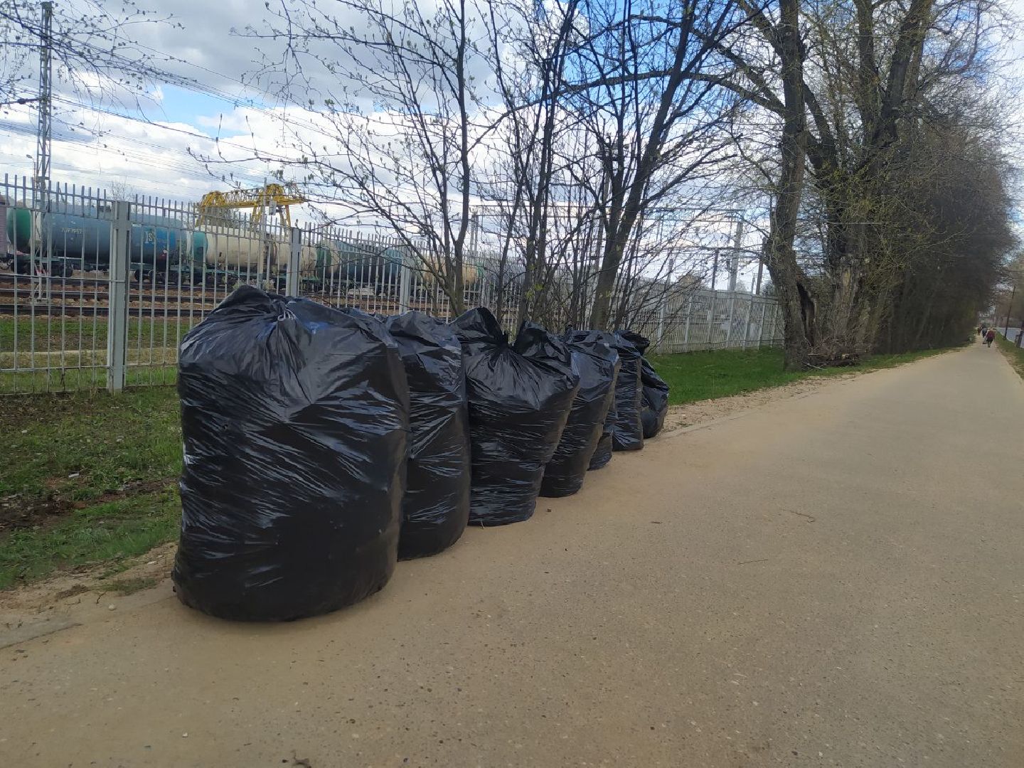 Дедовск, субботник, уборка, благоустройство