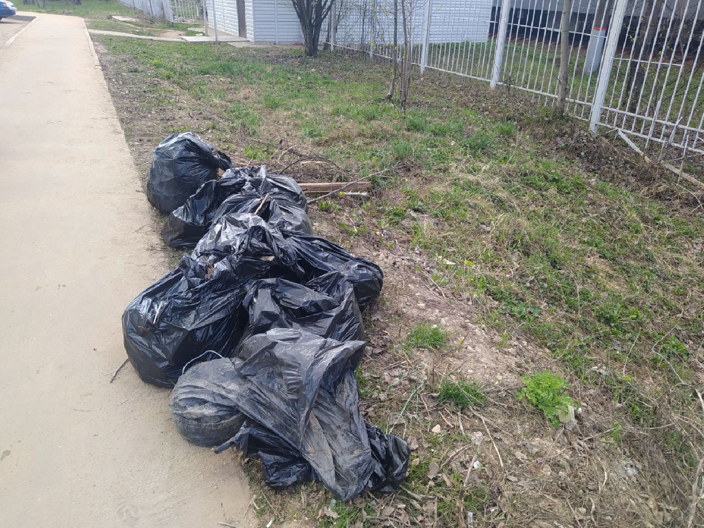 Дедовск, субботник, уборка, благоустройство