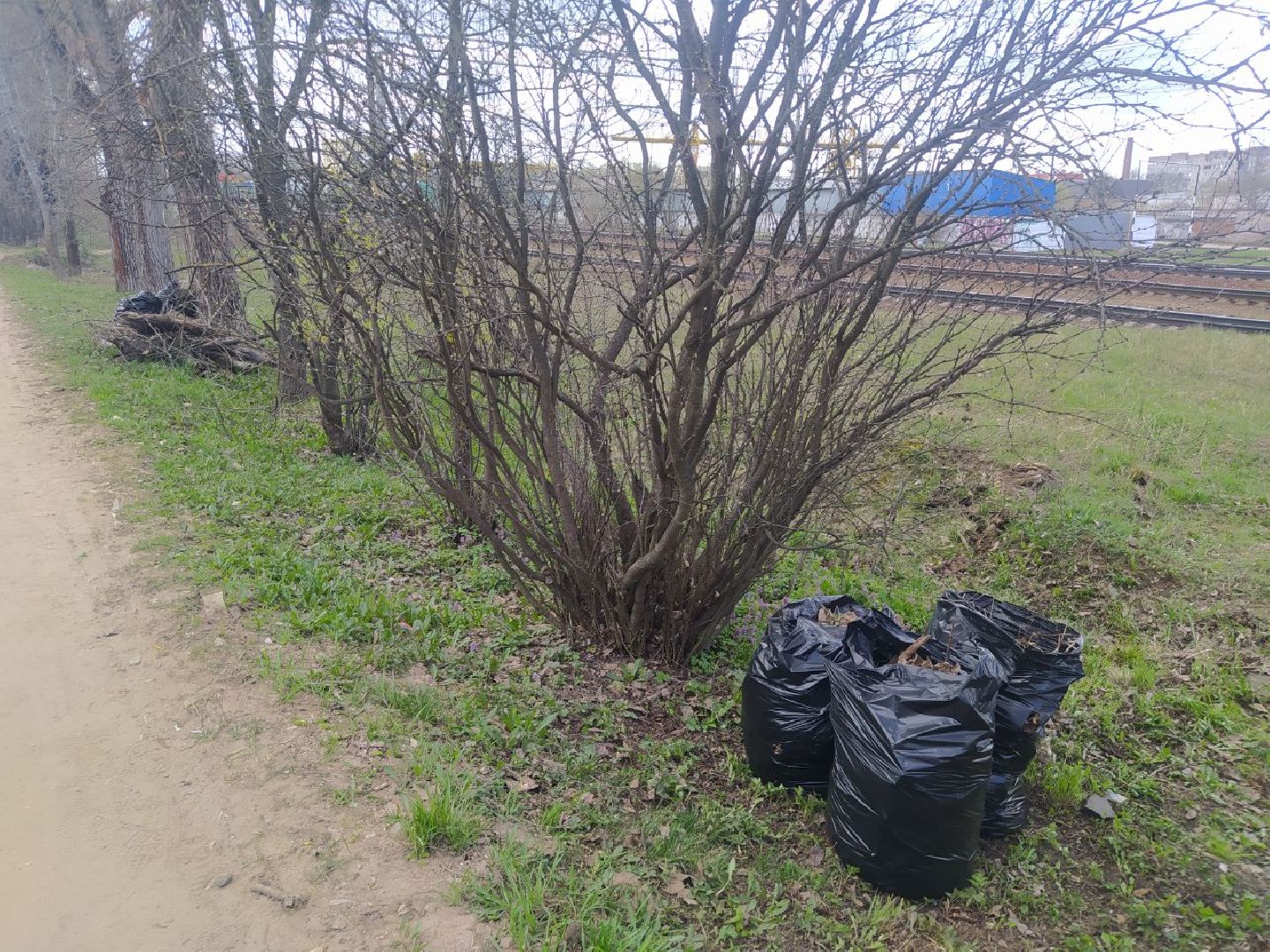 Дедовск, субботник, уборка, благоустройство