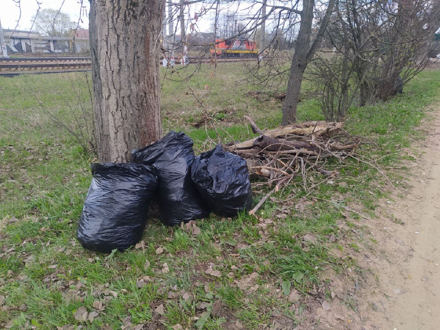 Дедовск, субботник, уборка, благоустройство