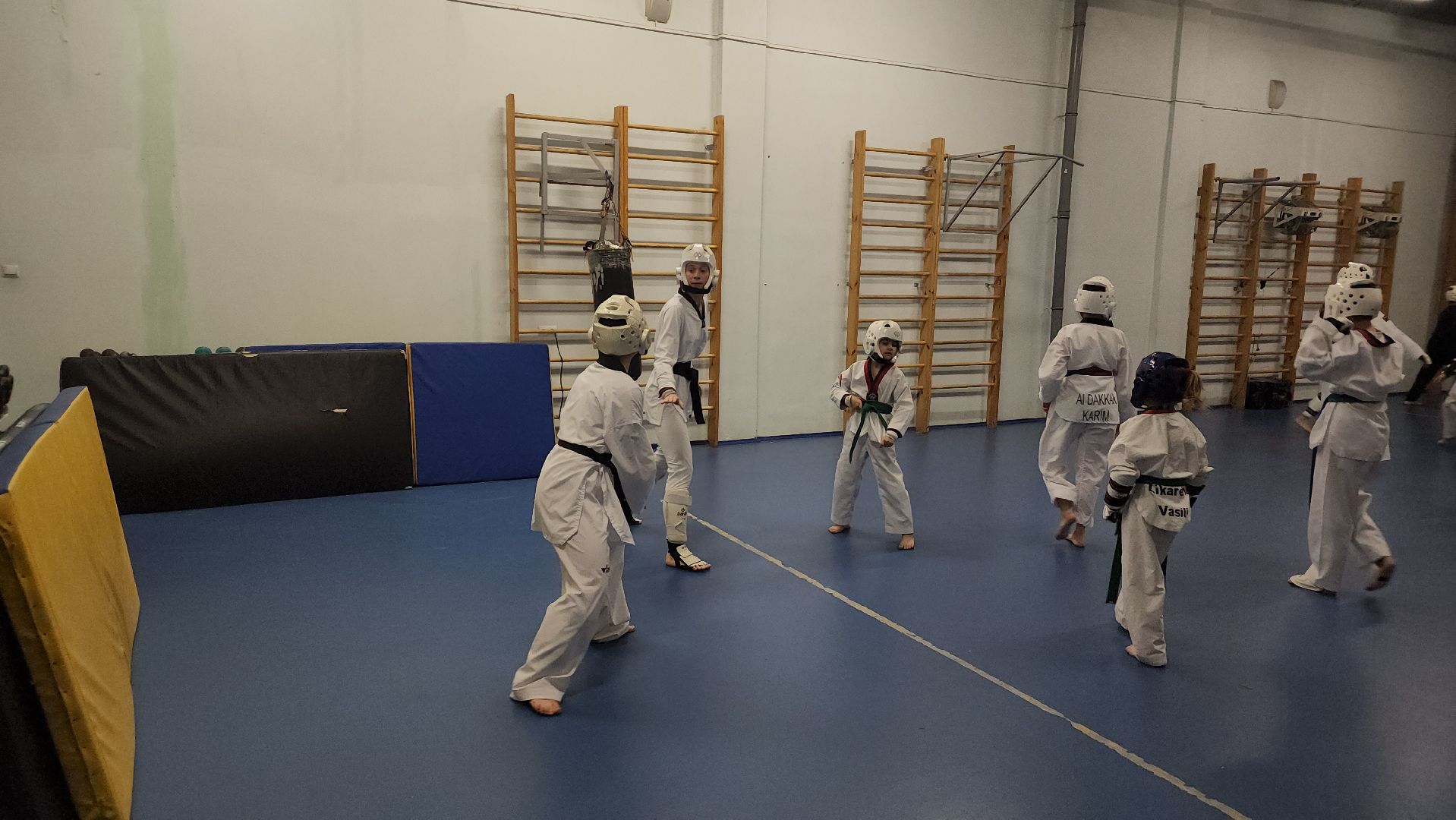 спорт, тхэквондо, Первенство России по тхэквондо, Лосино-Петровский,