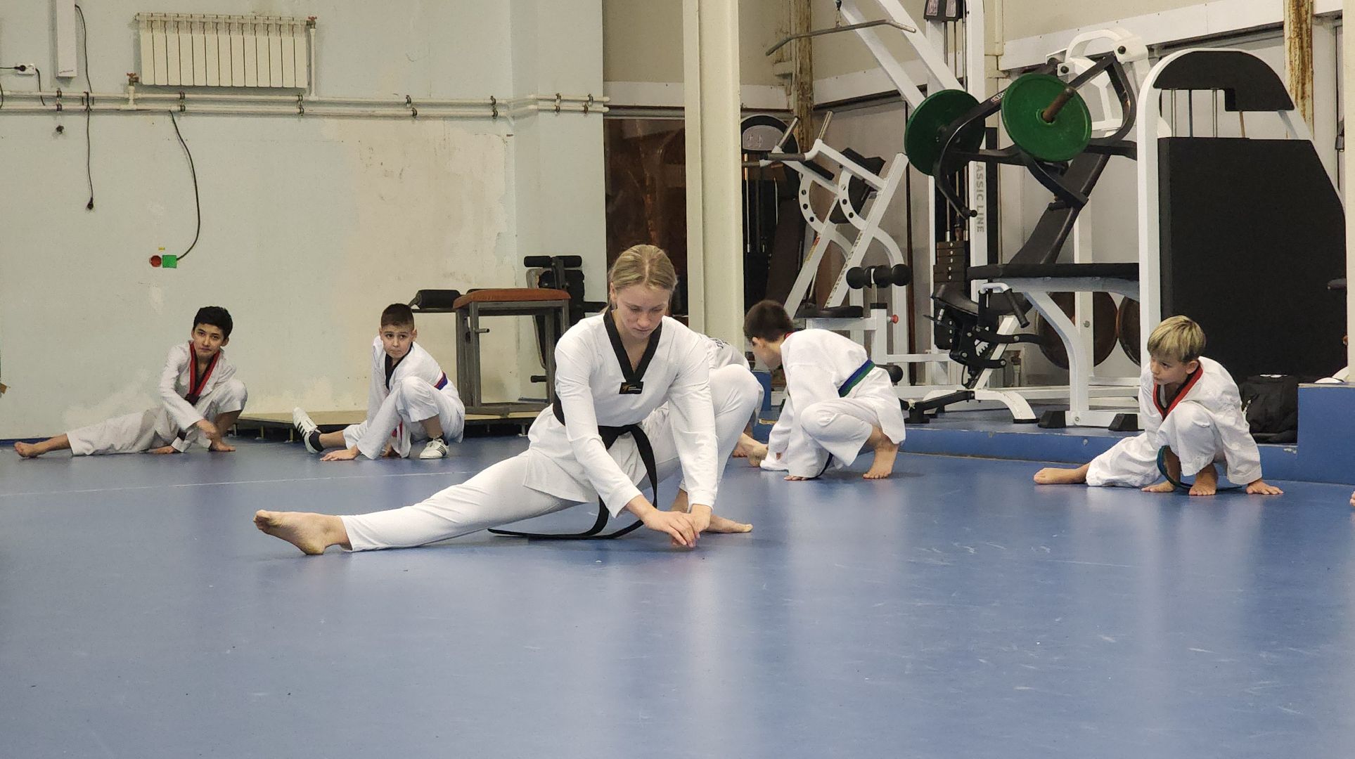 спорт, тхэквондо, Первенство России по тхэквондо, Лосино-Петровский,