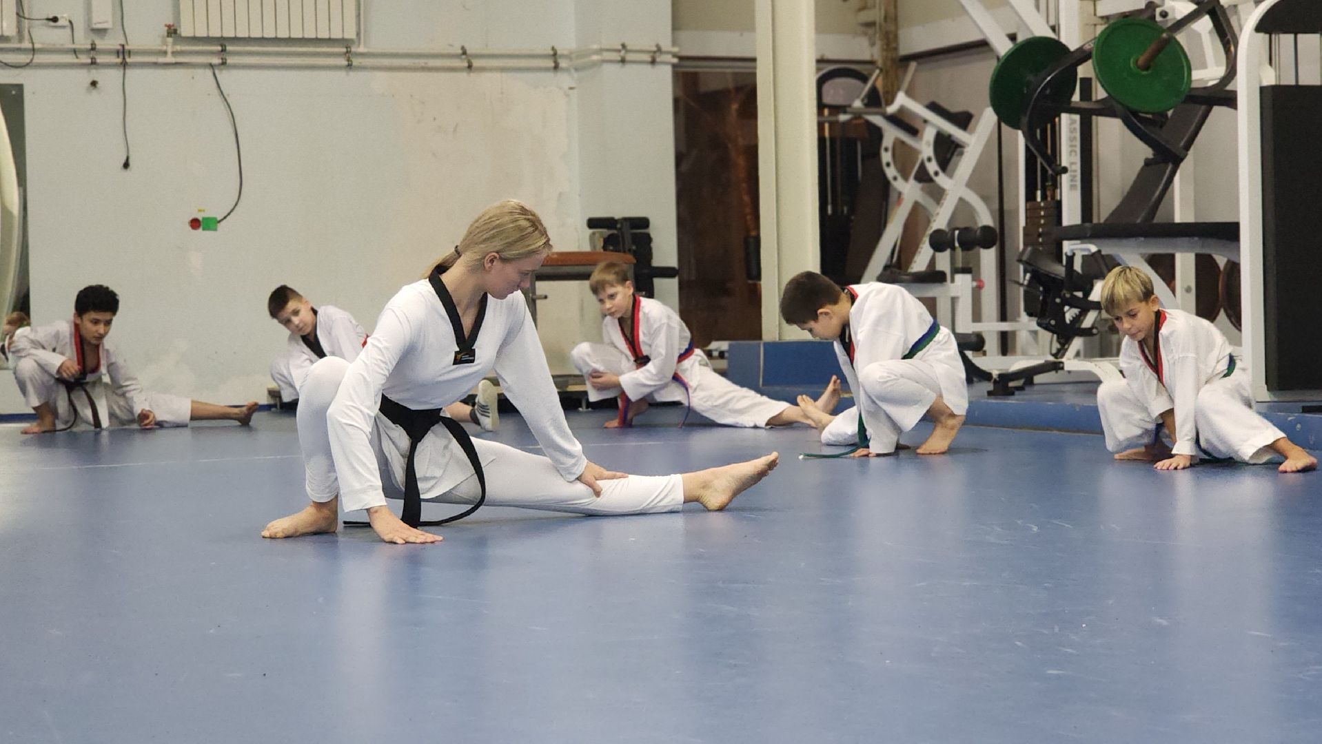 спорт, тхэквондо, Первенство России по тхэквондо, Лосино-Петровский,