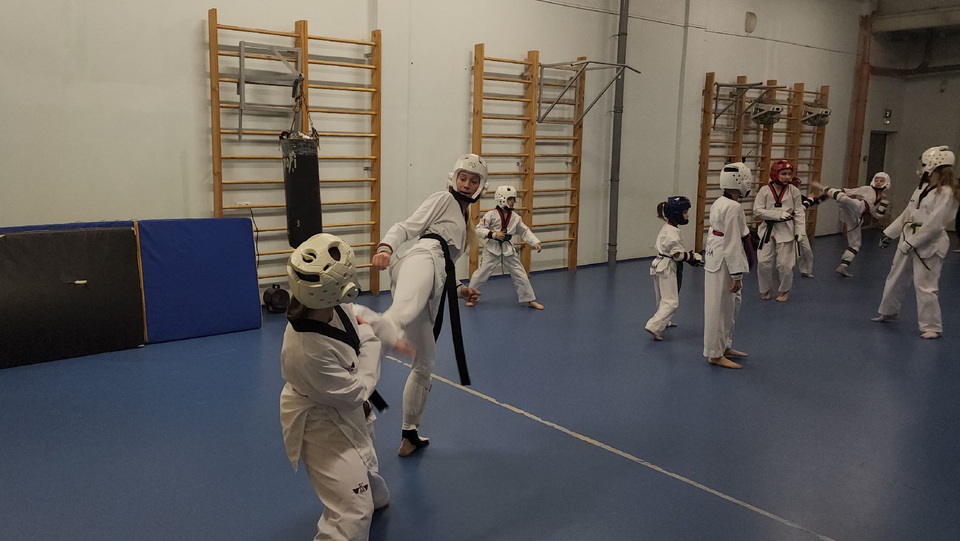 спорт, тхэквондо, Первенство России по тхэквондо, Лосино-Петровский,