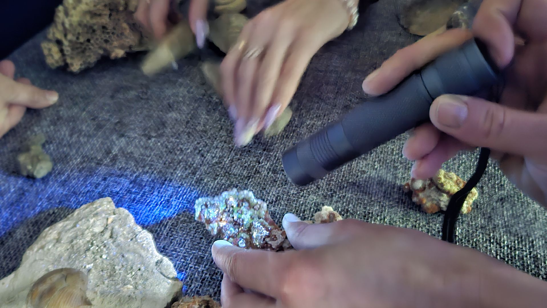 жуковский, лекция, ископаемые,