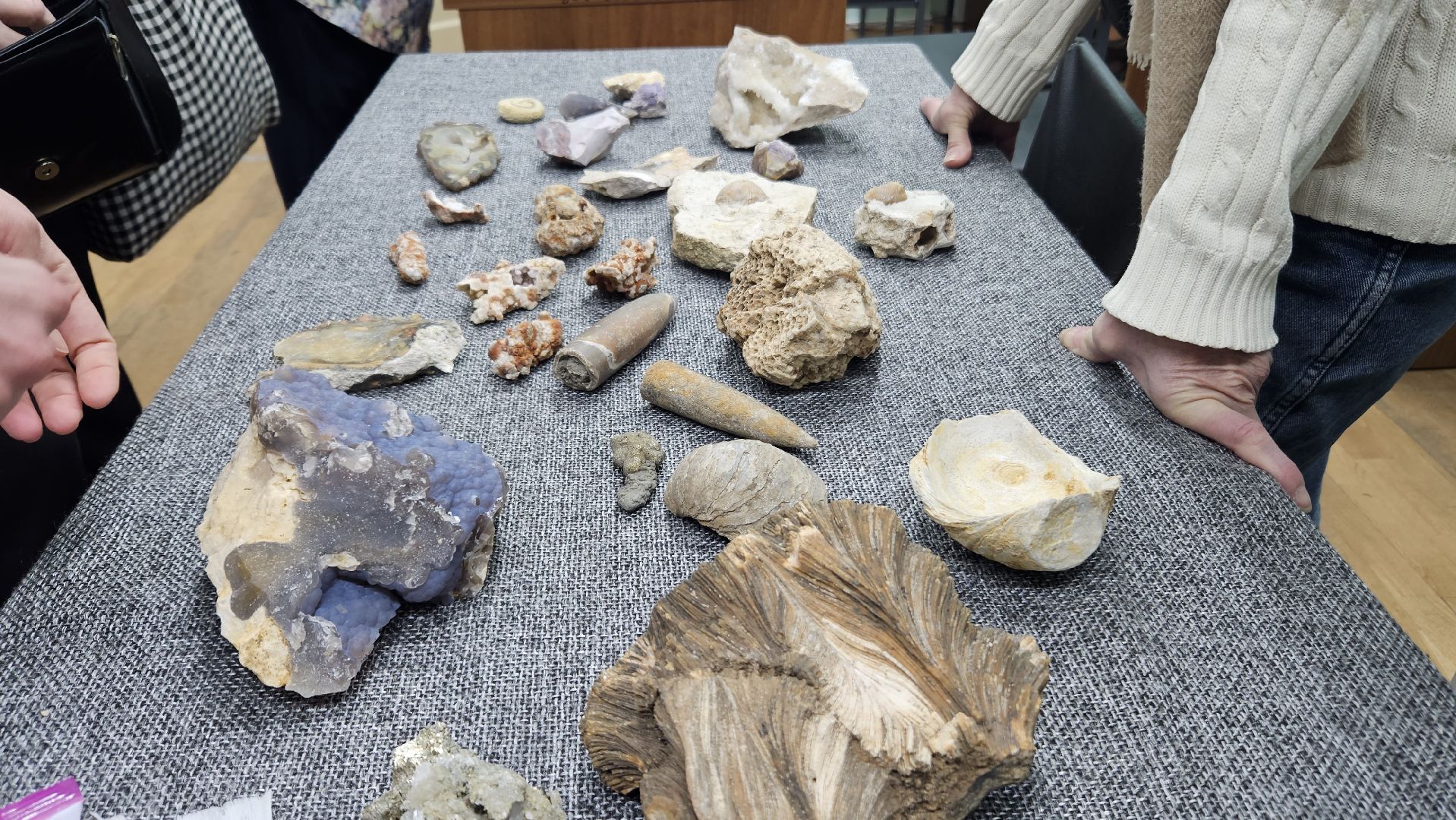 жуковский, лекция, ископаемые,