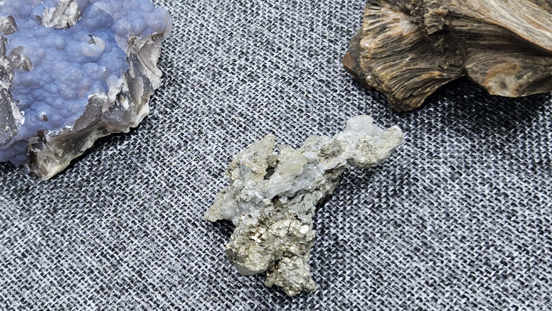 жуковский, лекция, ископаемые,