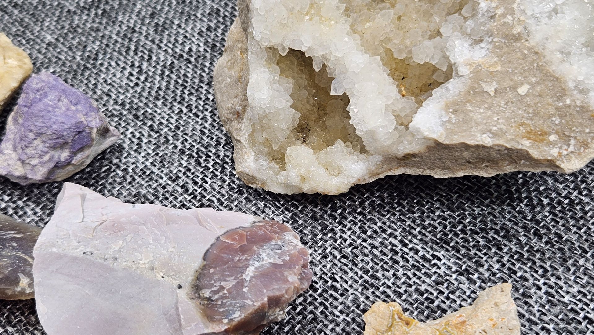 жуковский, лекция, ископаемые,