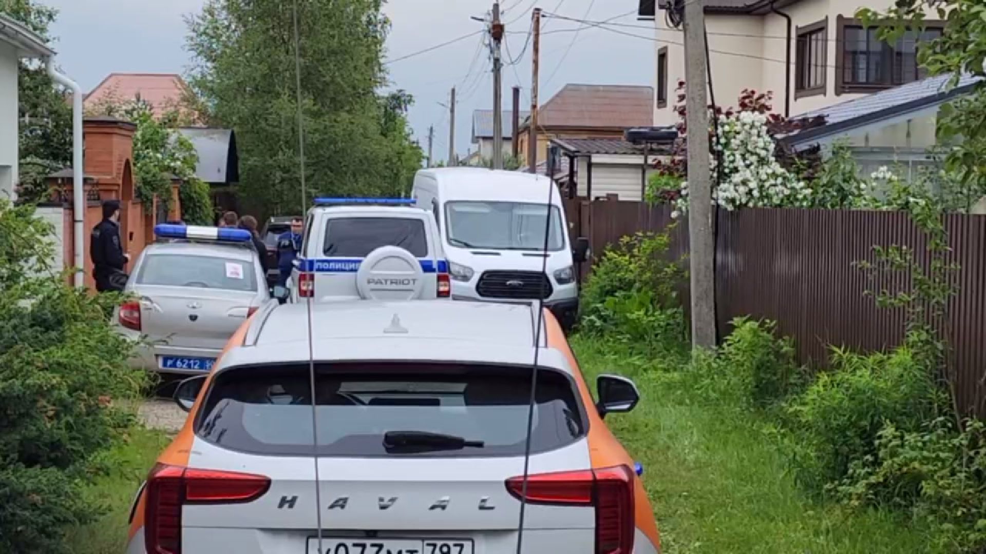 пушкинский округ, животные, тигр,