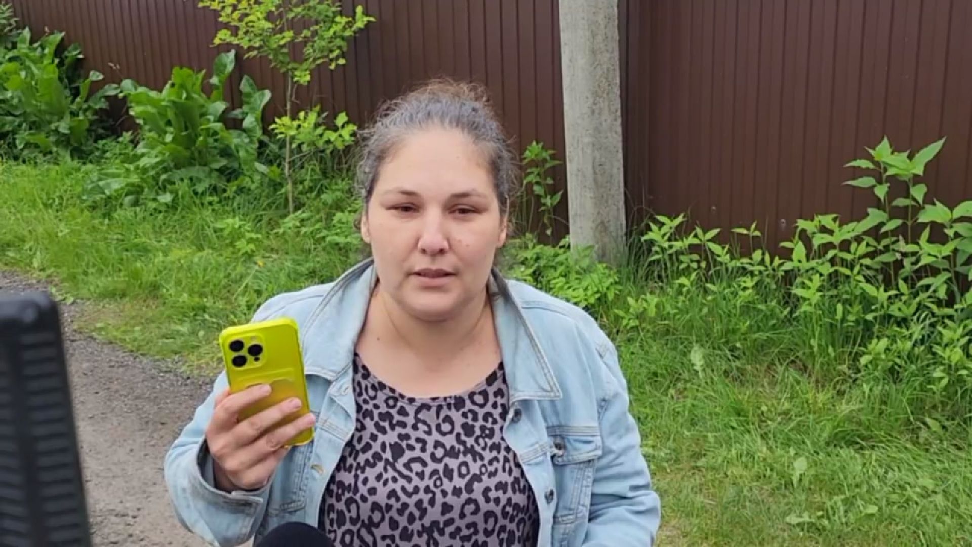 пушкинский округ, животные, тигр,