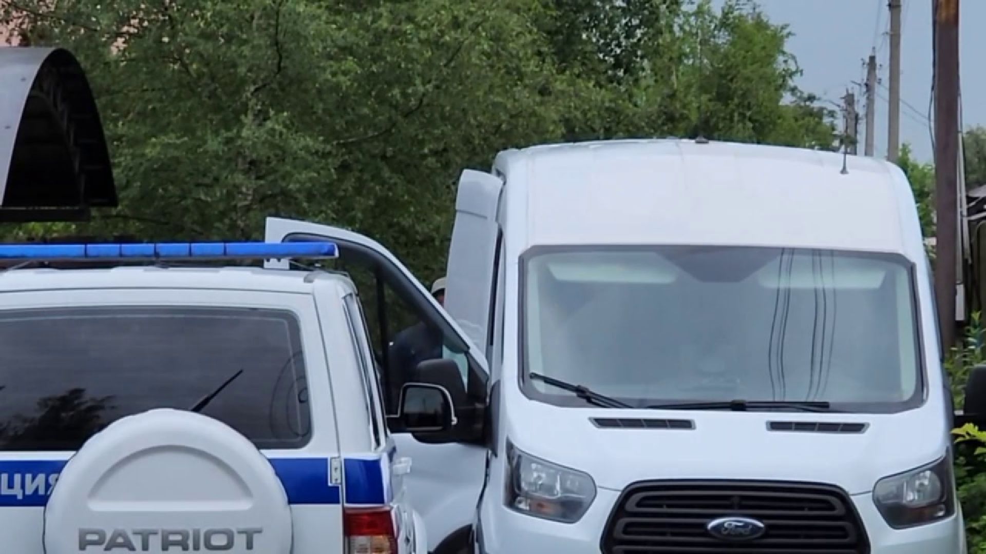 пушкинский округ, животные, тигр,