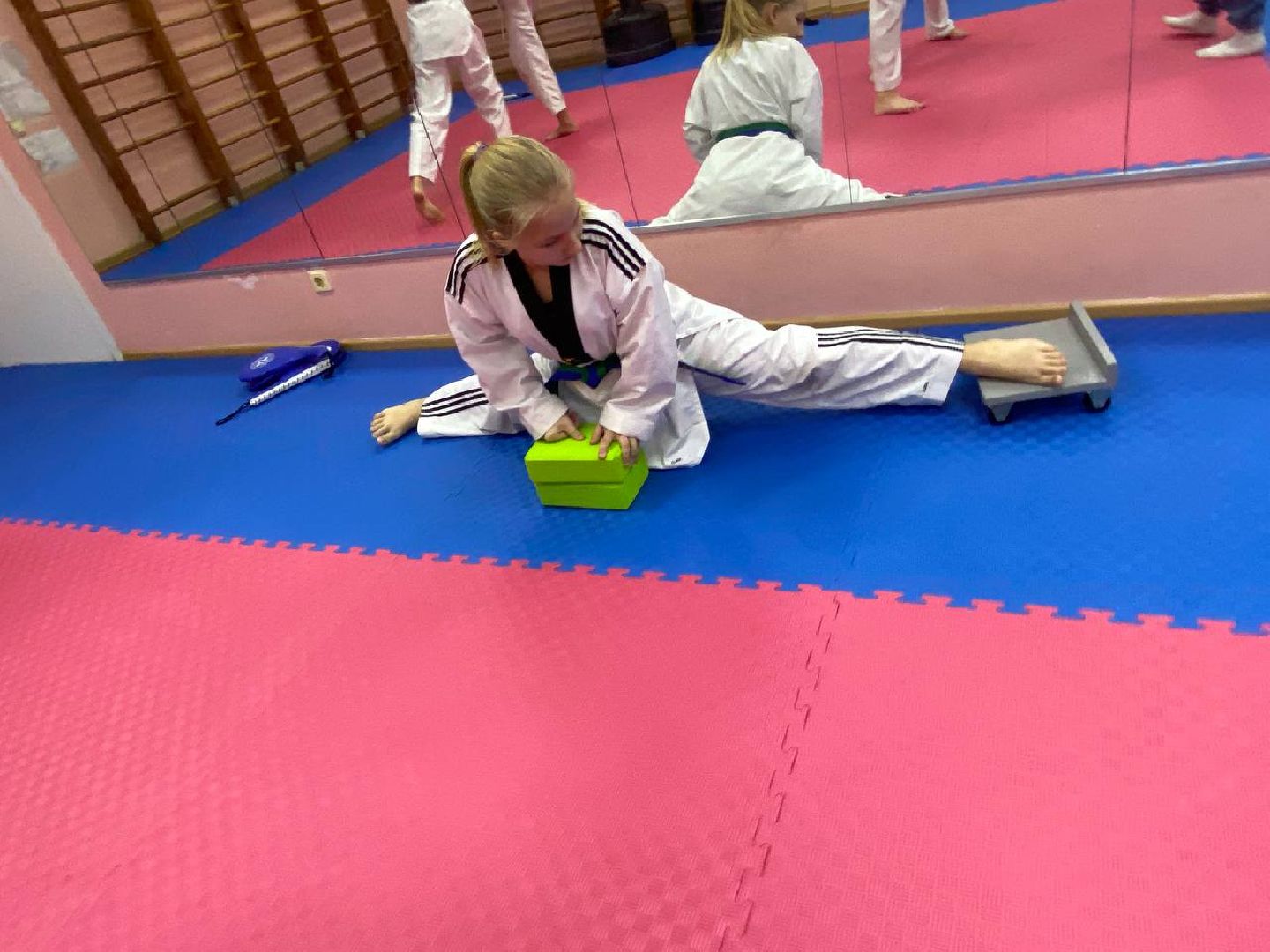 вертикалки, зоркий, тхэквондо, открытыйтурнир, первенствопотхэквондо, тхэквондокрансногорск,