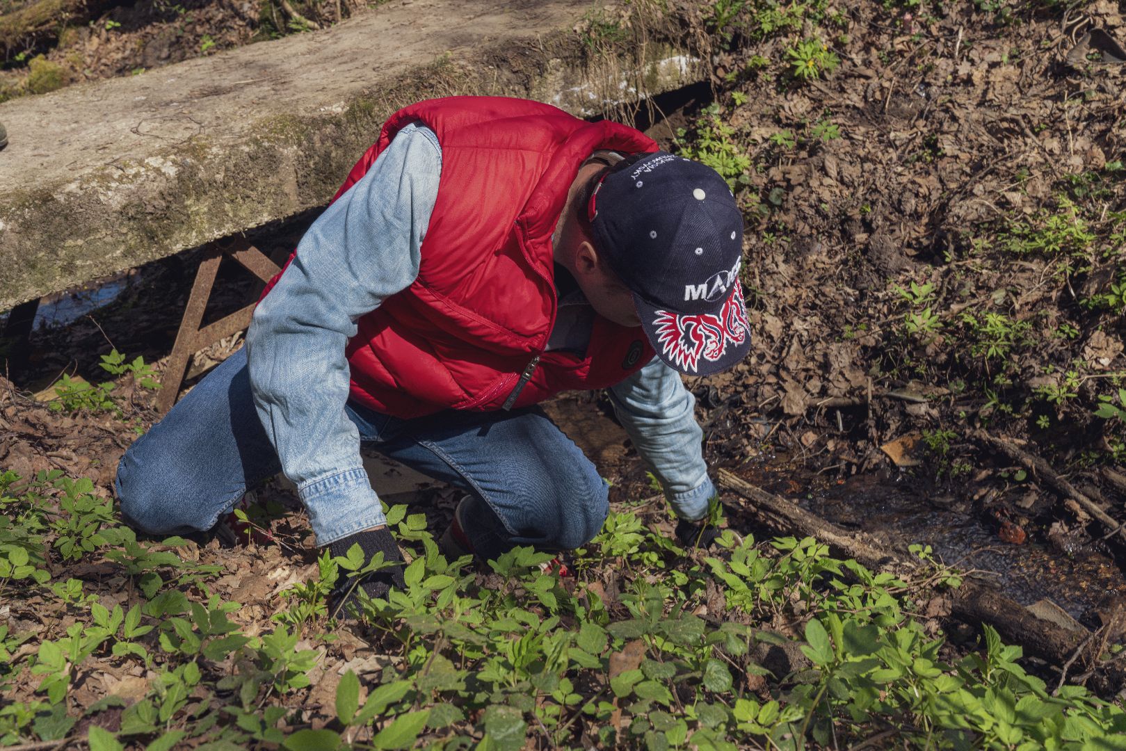 Благоустройство территорий, городская среда, голосование