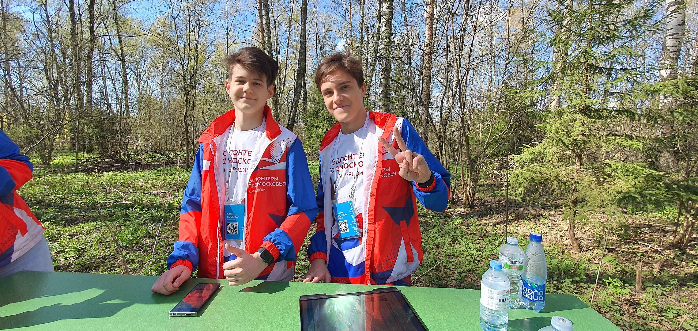 Благоустройство территорий, городская среда, голосование