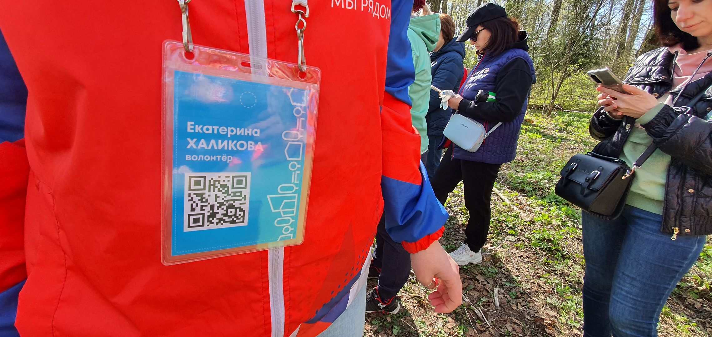 Благоустройство территорий, городская среда, голосование