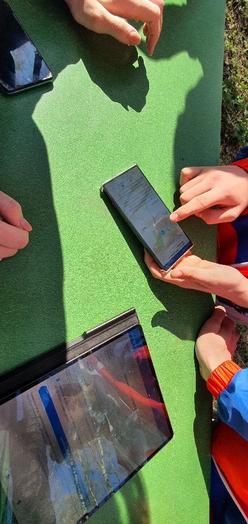 Благоустройство территорий, городская среда, голосование