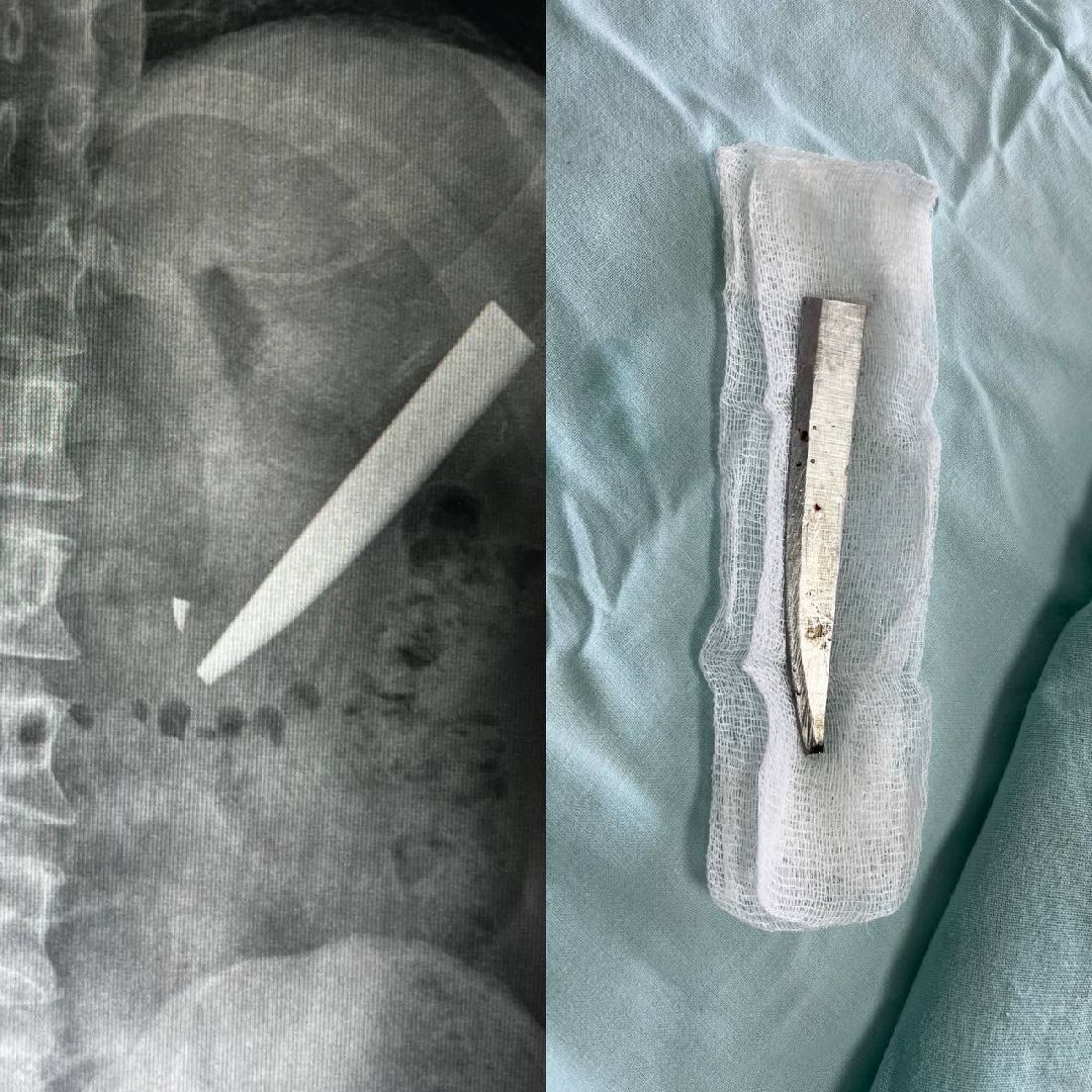 Жуковский, общество