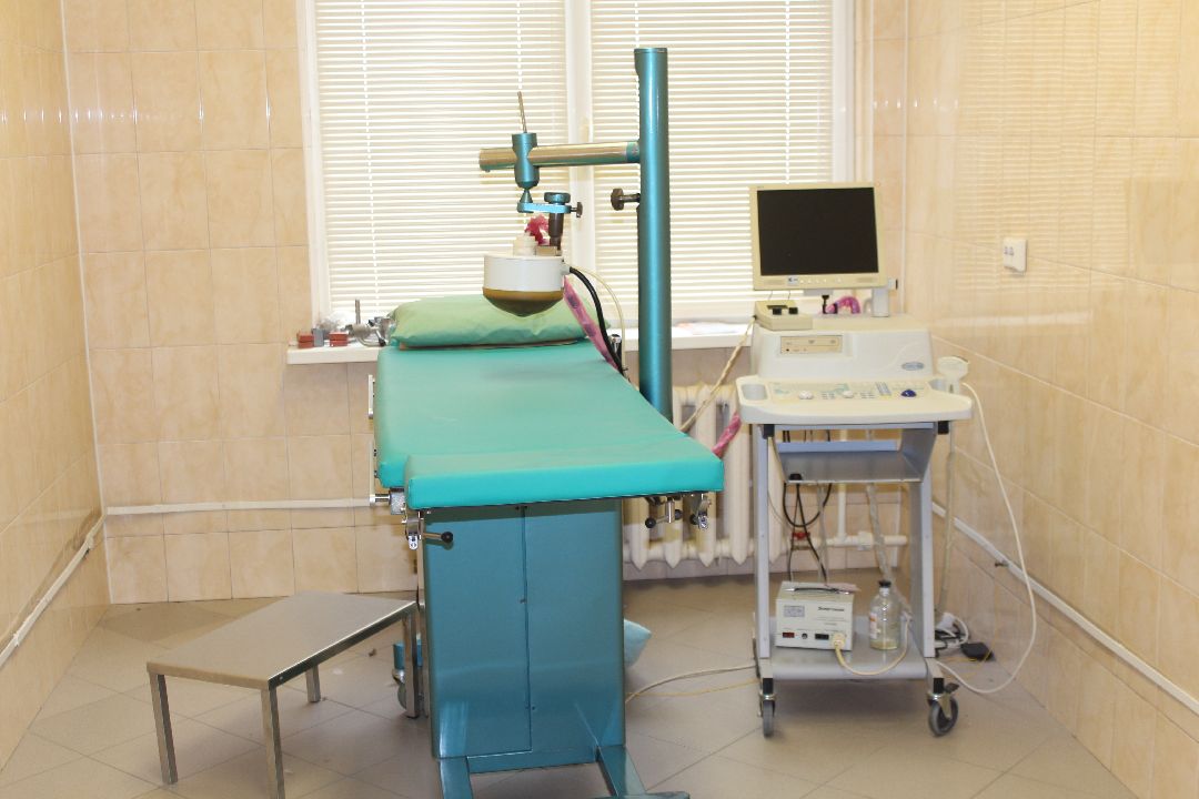 Жуковский, общество