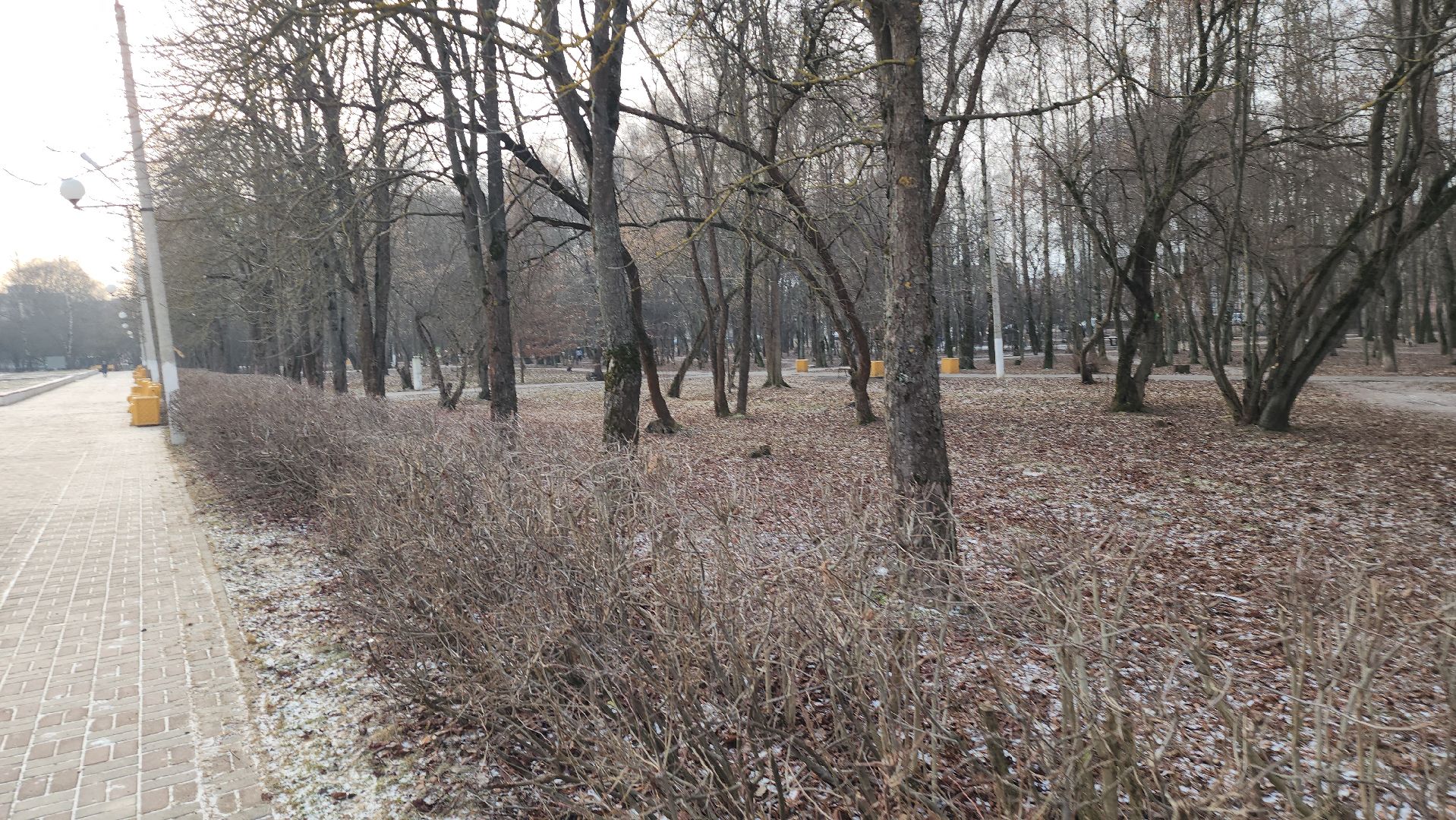 серпухов, парк питомник, аллея героев, выездная администрация, поселок большевик, дк большевик,