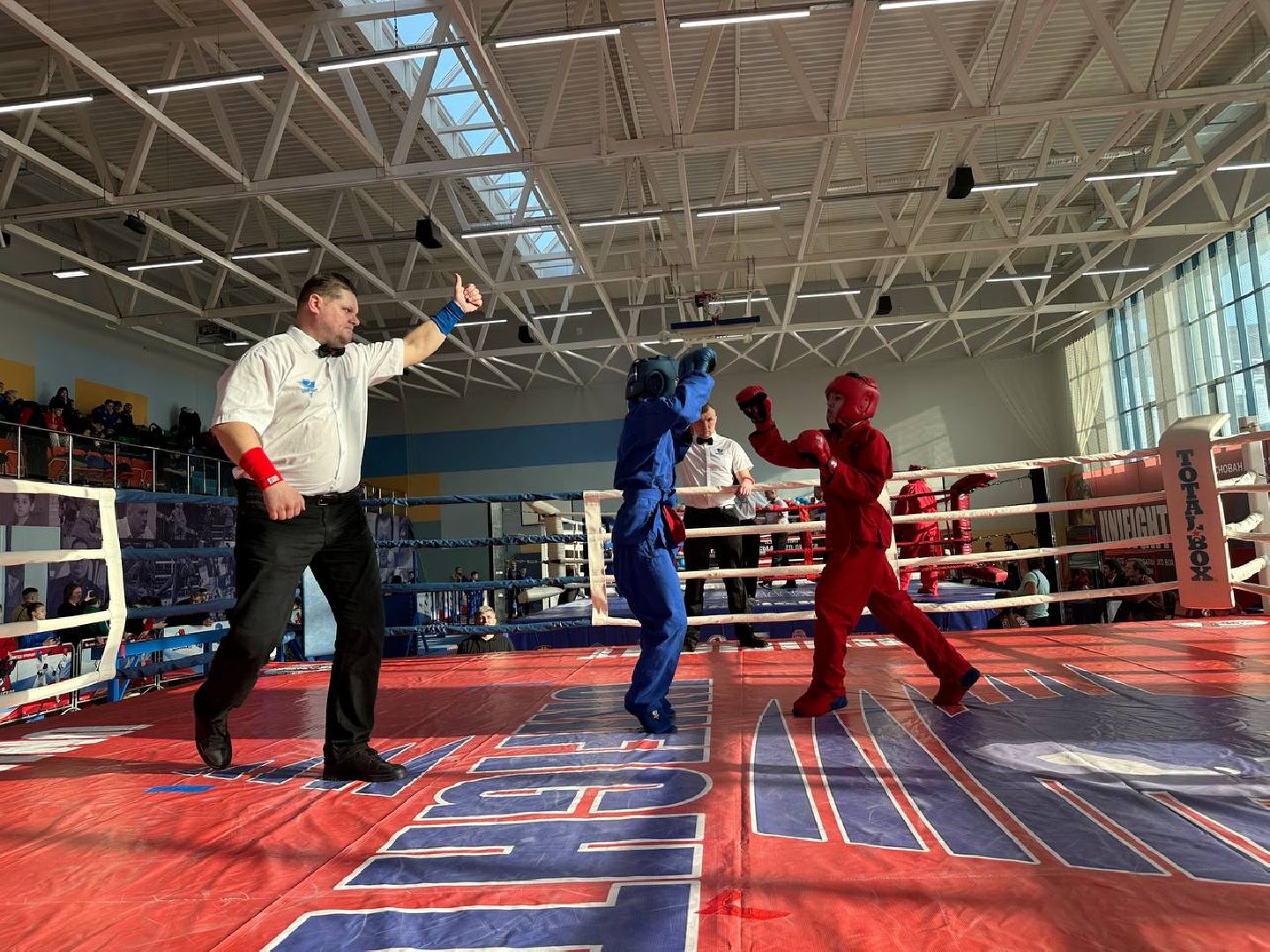 спорт, чемпионат, бои,