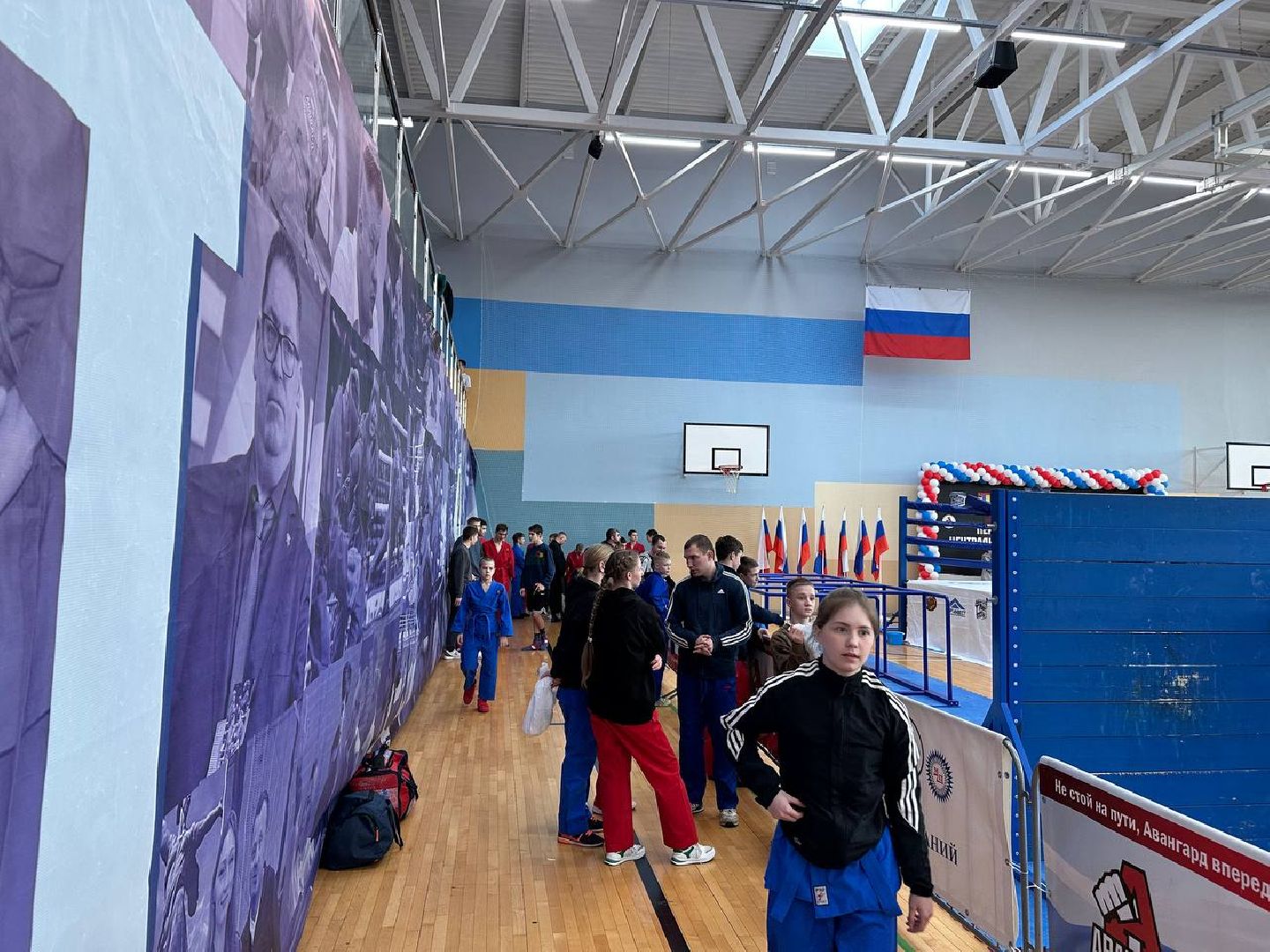 спорт, чемпионат, бои,