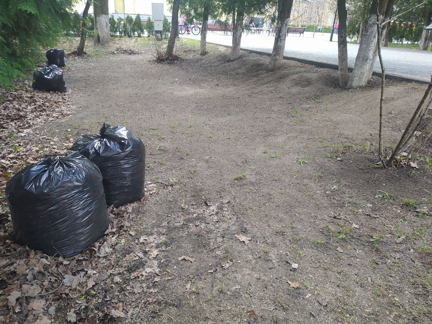 субботник, Дедовск, парк, памятник, уборка, благоустройство