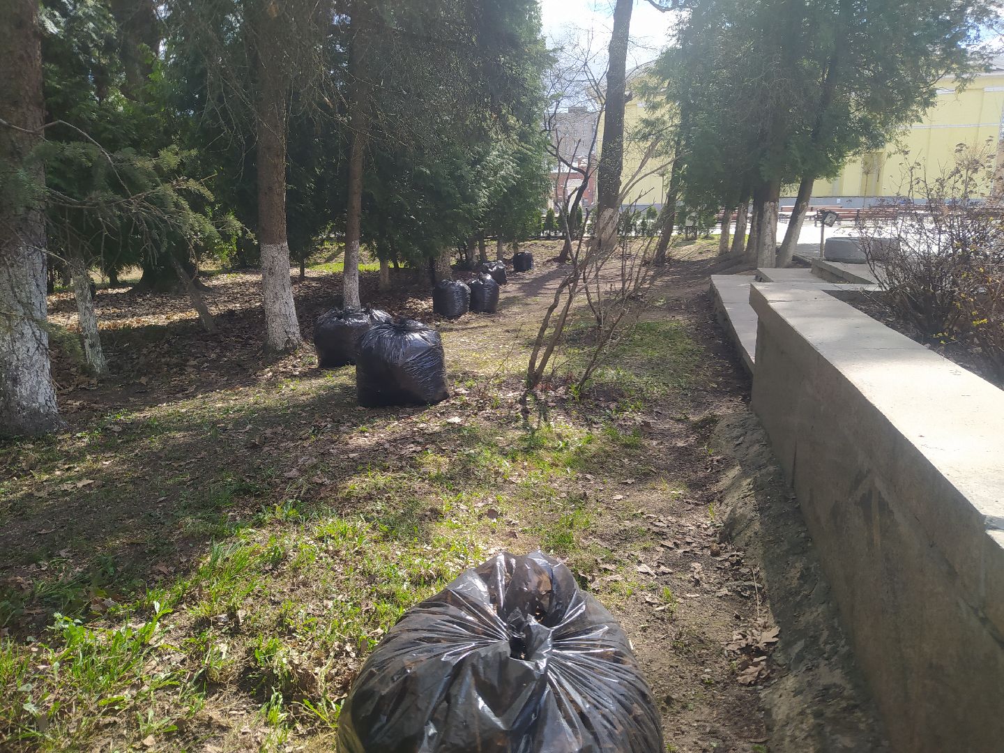 субботник, Дедовск, парк, памятник, уборка, благоустройство