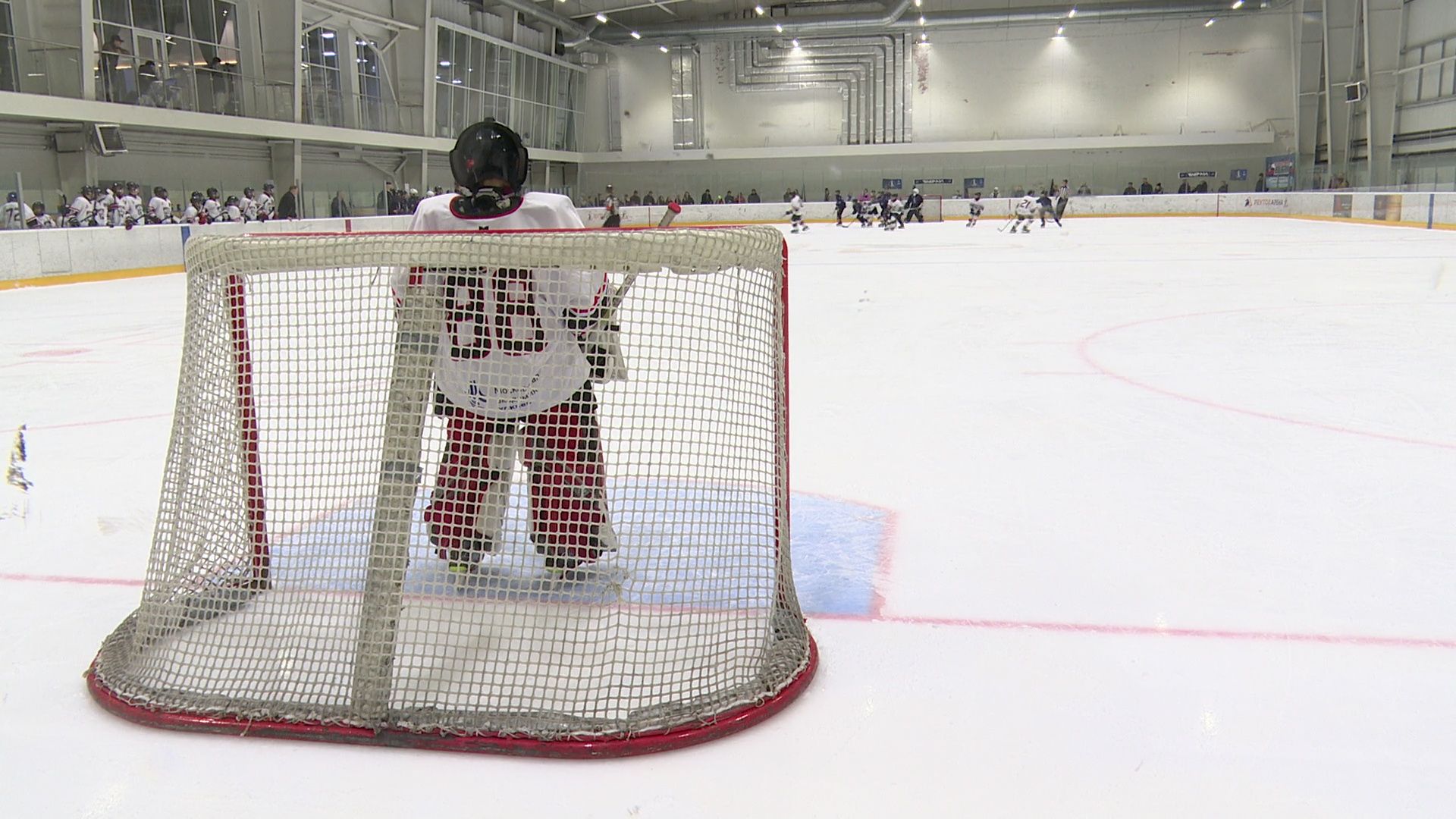 спорт, вертикалки, реутов, хоккей,