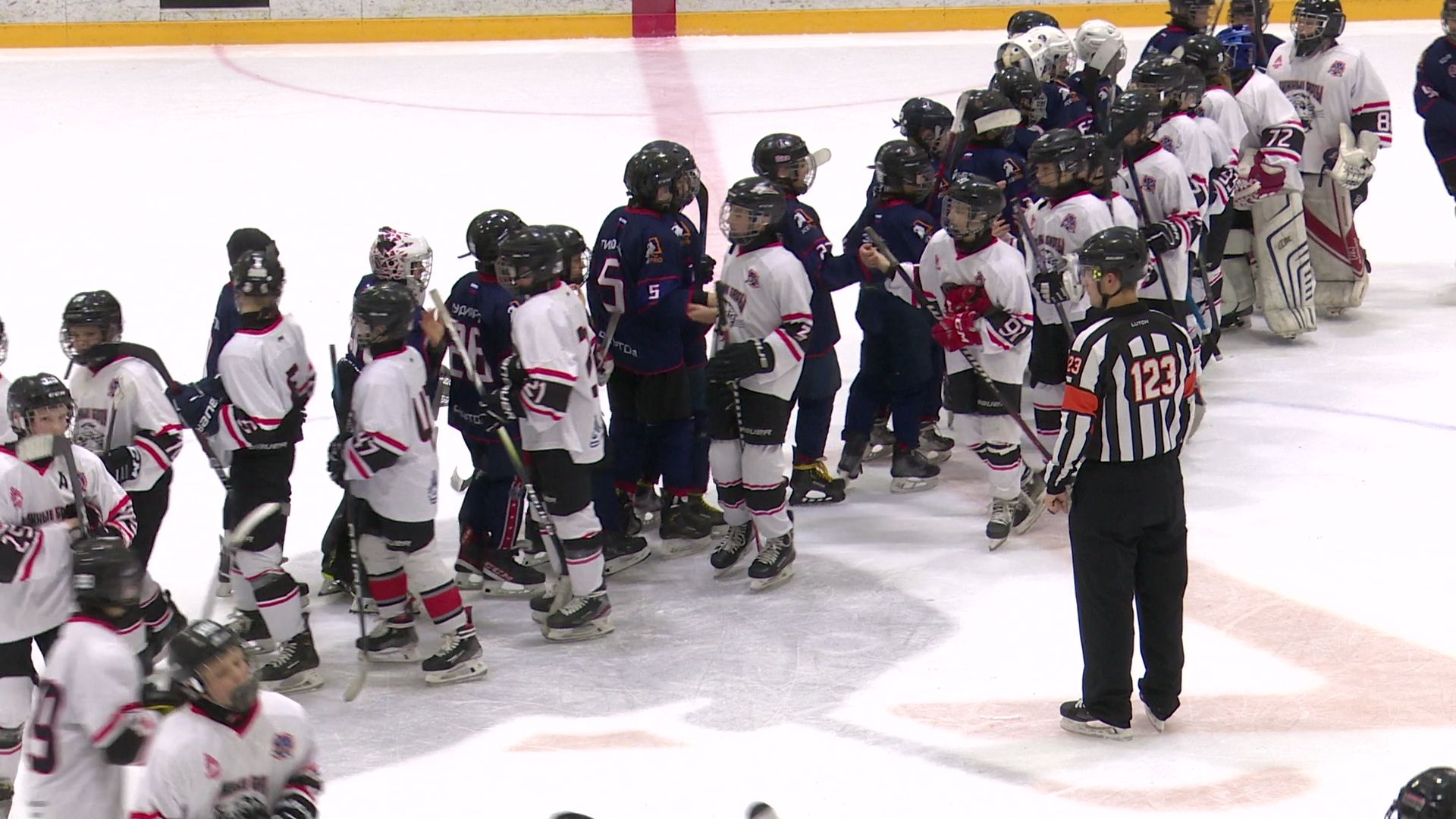 спорт, вертикалки, реутов, хоккей,