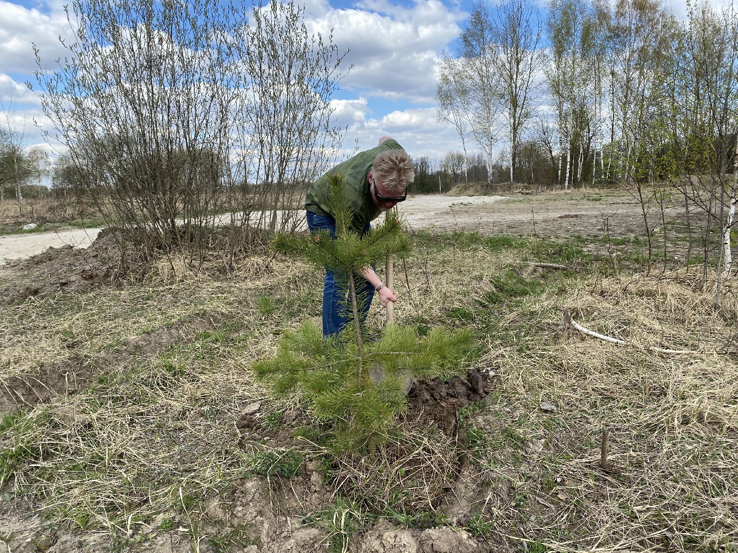 Чехов, благоустройство, парк, житель, дерево