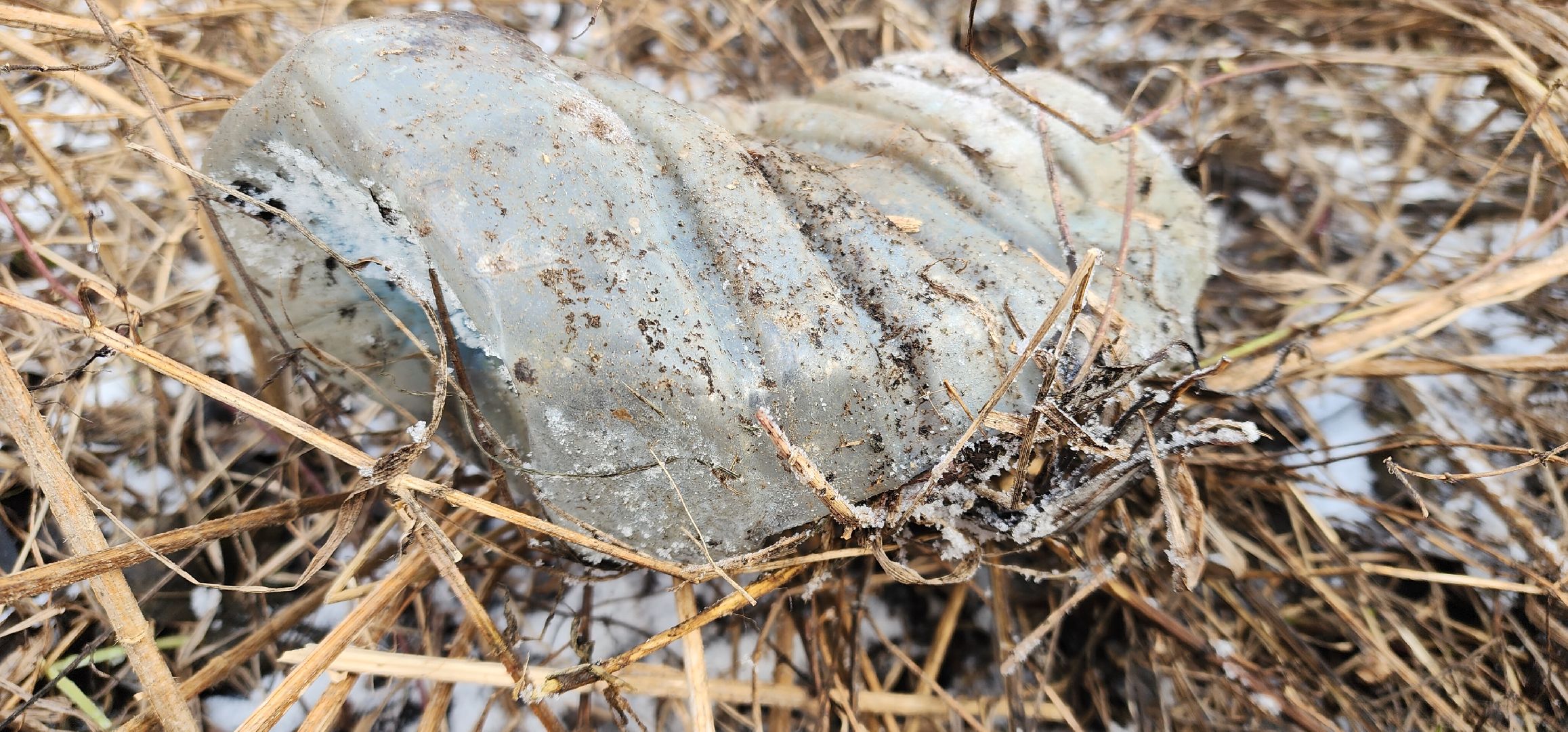 вертикалки, экология, благоустройство, Эко-субботники, Звенигород,