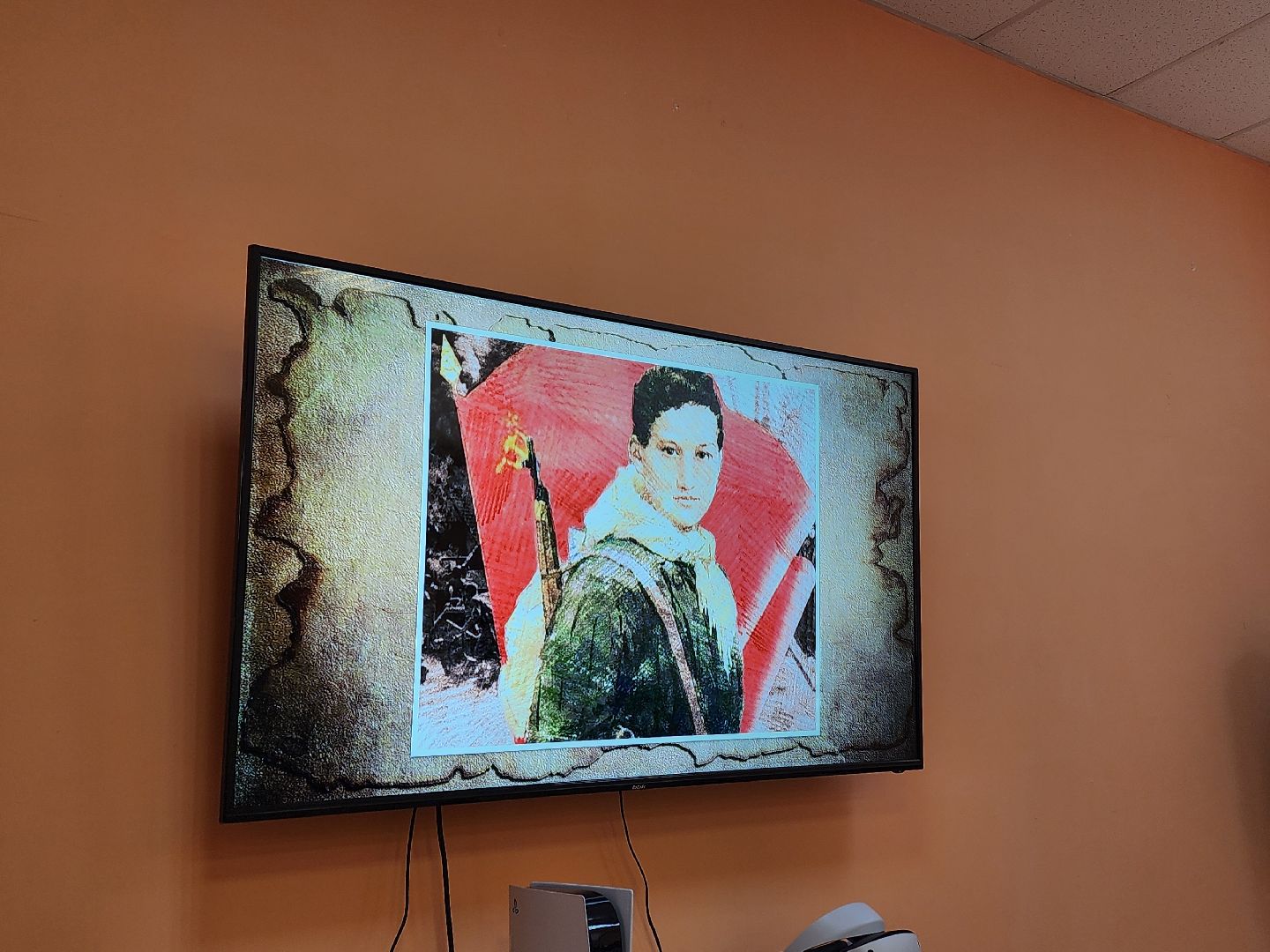 вертикалки, луховицы, библиотека,