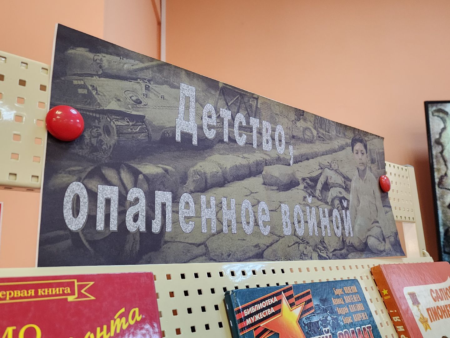 вертикалки, луховицы, библиотека,