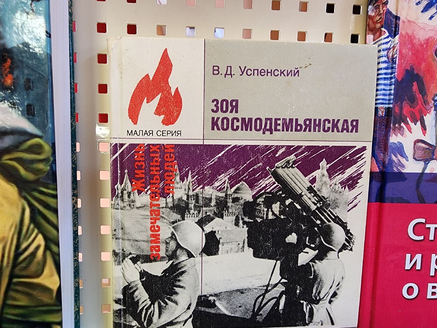 вертикалки, луховицы, библиотека,