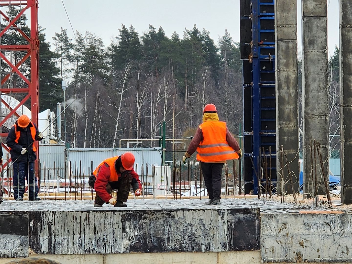 вертикалки, мытищи, строительство школы,
