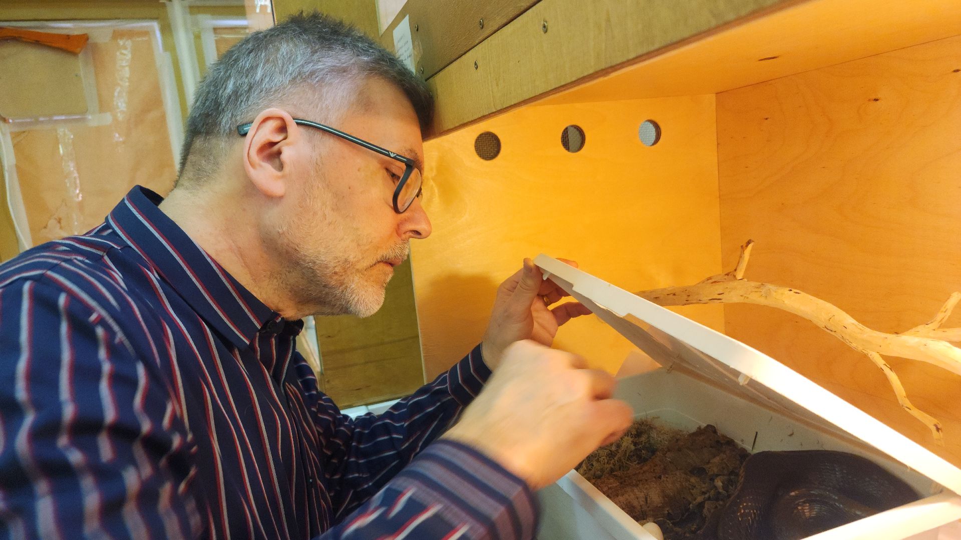 волоколамск, змеи, люди, советы герпетолога,