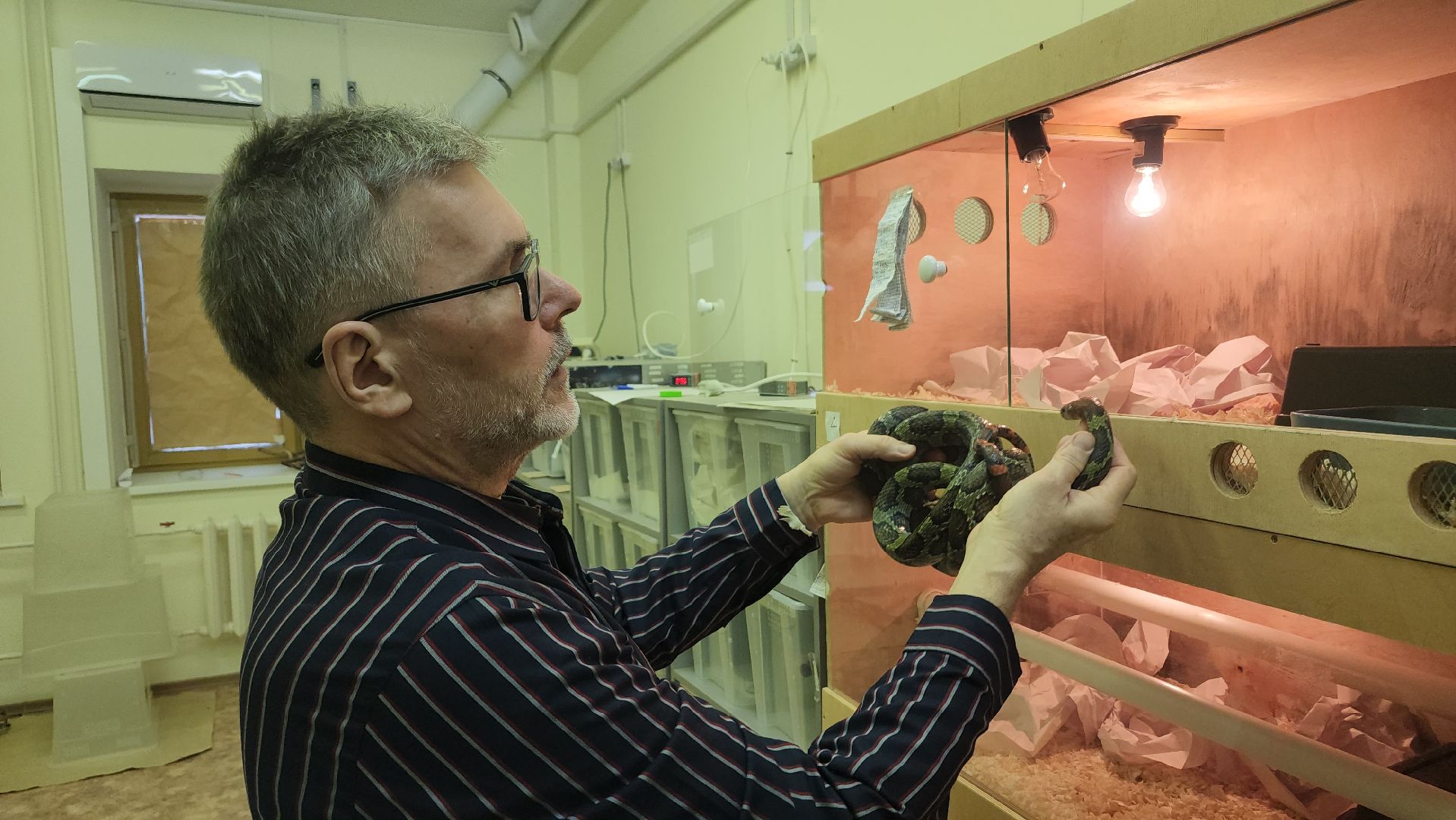 волоколамск, змеи, люди, советы герпетолога,