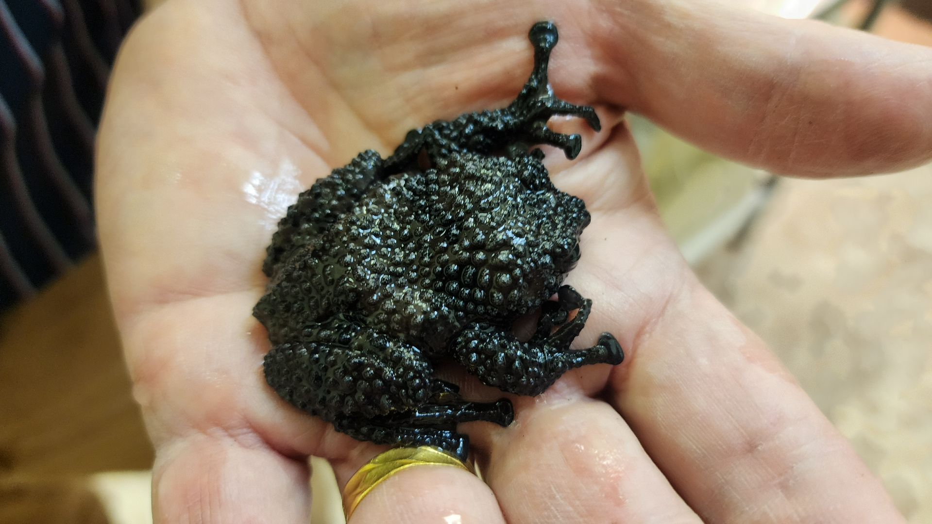 волоколамск, змеи, люди, советы герпетолога,